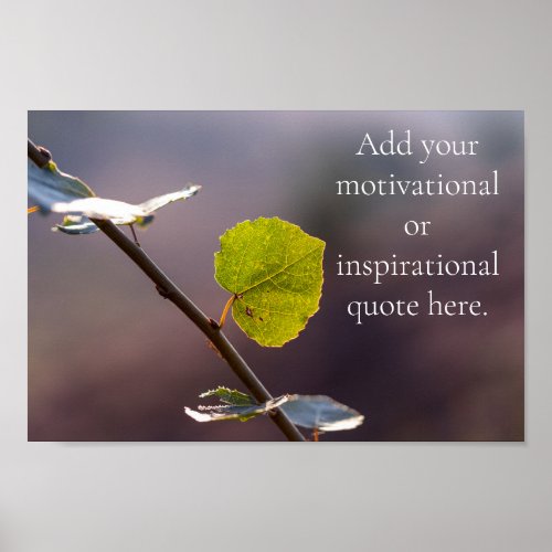 Add your own motivationalinspirational text  post poster