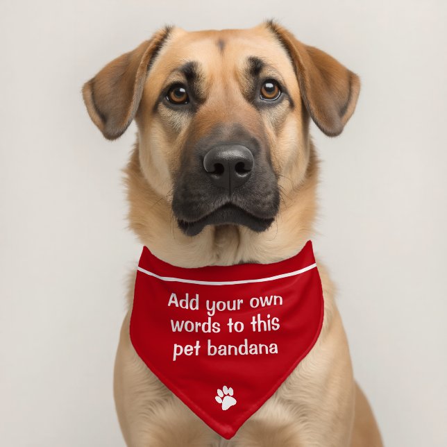 Add Your Own Personalized Words Pet Bandana Collar (Dog 2)