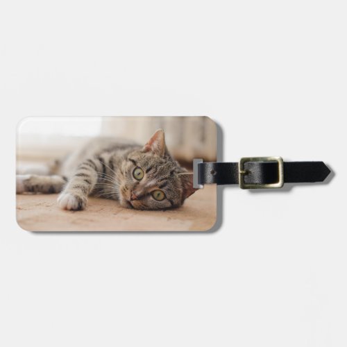 Add Your Own Pet Cat Photo Travel Luggage Tag