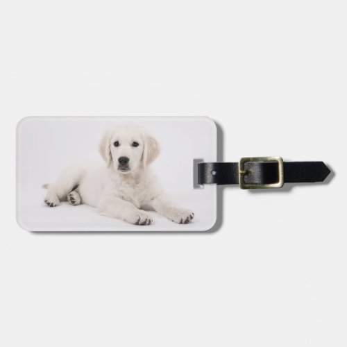 Add Your Own Pet Dog Photo Travel Luggage Tag