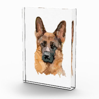 Add Your Own Pet Image Acrylic Award