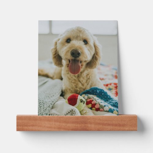 Add Your Own Pet Photo  Personalized Dog Photo Picture Ledge