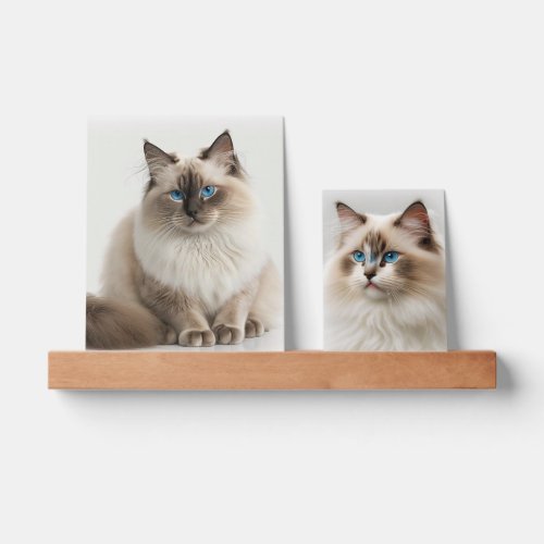 Add Your Own Pet Photos  Personalized Two Photo P Picture Ledge
