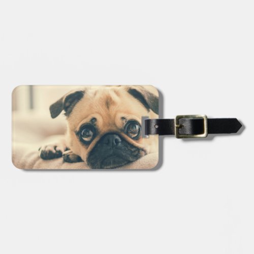 Add Your Own Pet Pug Photo Travel Luggage Tag
