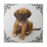 ADD YOUR OWN PHOTO CERAMIC TILE<br><div class="desc">ADD YOUR OWN PHOTO--------TRANSFER DESIGN TO ANOTHER ITEM.---THIS SIZE MAKES A GREAT DRINK COASTER.</div>