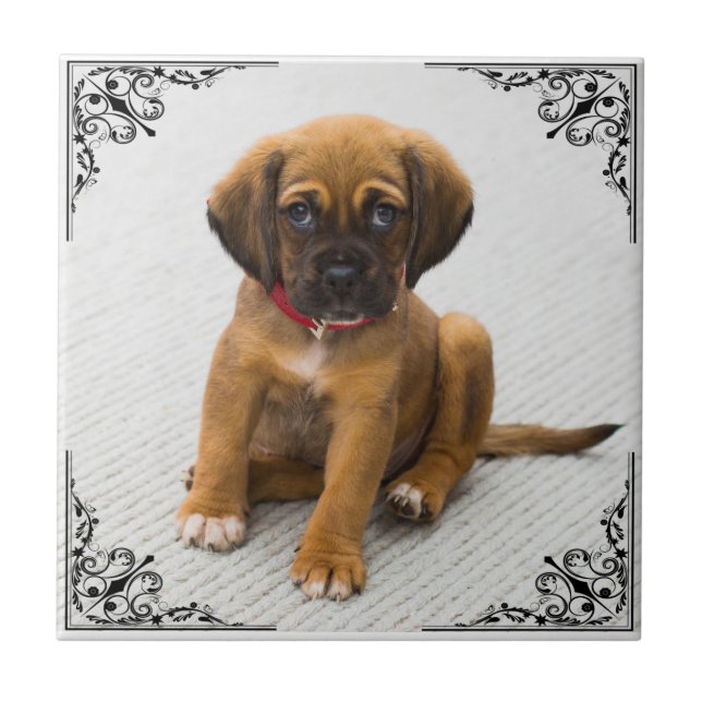 ADD YOUR OWN PHOTO CERAMIC TILE (Front)