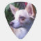 "Add-Your-Own Photo" Guitar Pick