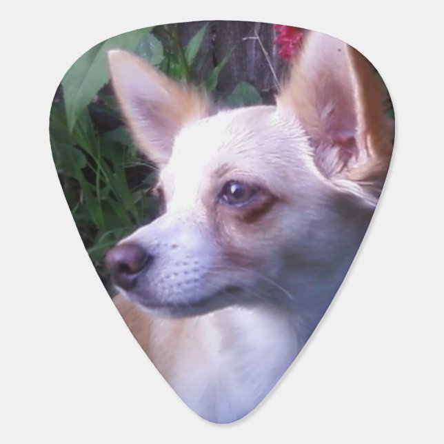 "Add-Your-Own Photo" Guitar Pick (Back)