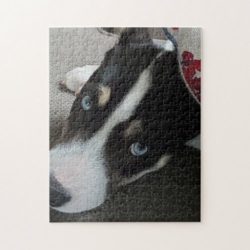 Add your Own Photo or Leave this Husky Pitbull Pup Jigsaw Puzzle