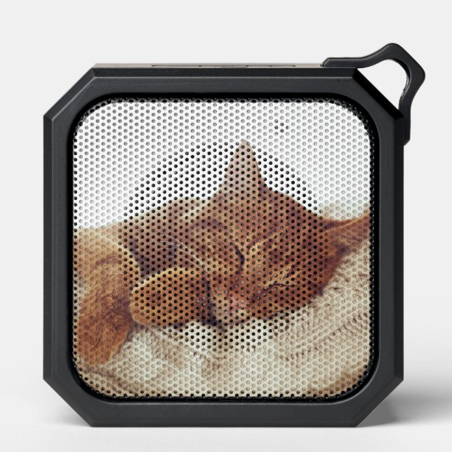 Add Your Own Photo | Personalized Cat Photo Bluetooth Speaker (Front)
