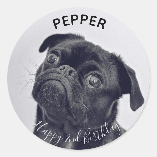 Add your own photo Pet Birthday name Sticker (Front)
