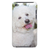 Add Your Own Photo To The Ipod Touch Case (Back)