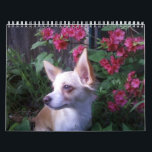 "Add Your Own Photos"    Calendar<br><div class="desc">"Add Your Own Photos"  Calendar makes a great gift! Put a different picture on every month! Perfect for baby or pet photos or anything you want the world to see. Great gift for grandparents! Even children's artwork can be showed off with love. Different sizes and designs available.</div>