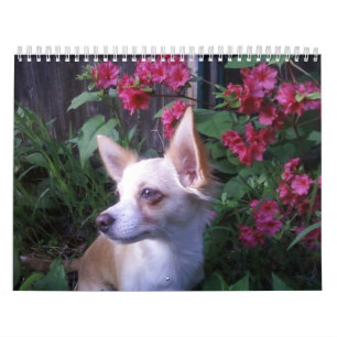 "Add Your Own Photos"    Calendar