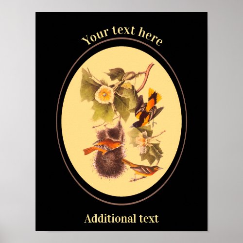 Add Your Own Text Vintage Audubon Birds Oriole  Poster