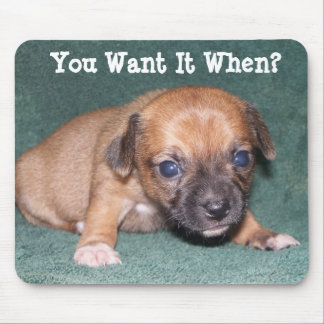 Add Your Own Words - Chihuahua Mousepad