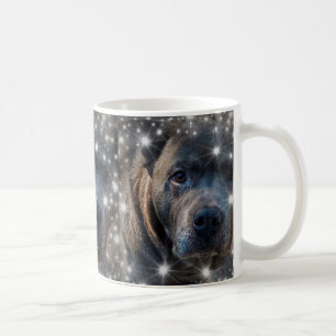 Add Your Pet Photo / Pitbull Dog Coffee Mug