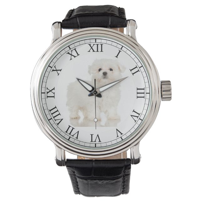 Add Your Pet's Photo Cute Dog Picture Maltese Watch (Front)