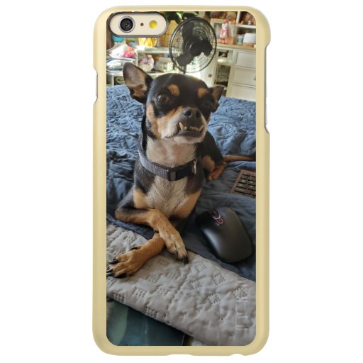 Add Your Pet's Photo to this    Incipio Feather Shine iPhone 6 Plus Case