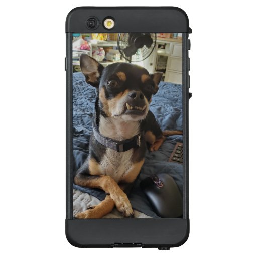Add Your Pet's Photo to this  LifeProof NÜÜD iPhone 6 Plus Case