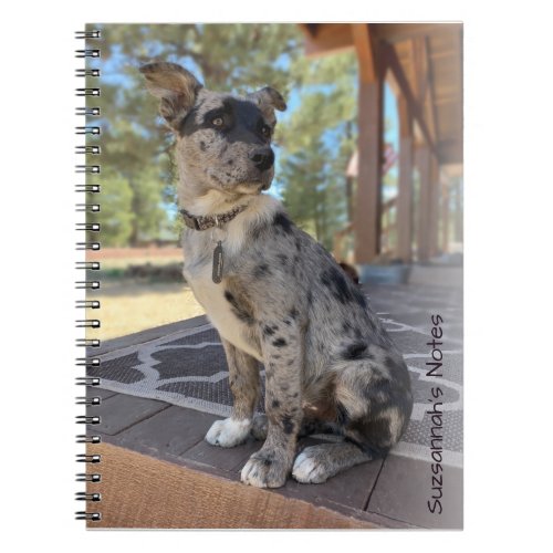 Add Your Photo Adorable Cattle Dog Placeholder Notebook