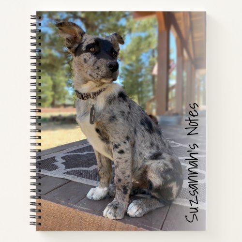 Add Your Photo Adorable Cattle Dog Placeholder Notebook