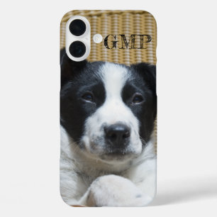 Add Your Photo Border Collie Heeler Puppy Monogram iPhone 16 Plus Case