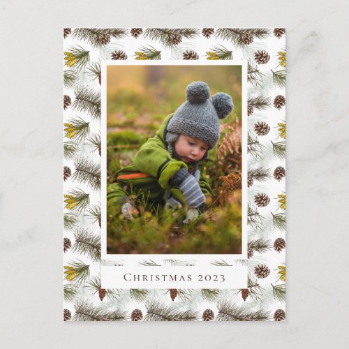 Add Your Photo  Christmas Pine Cones Postcard