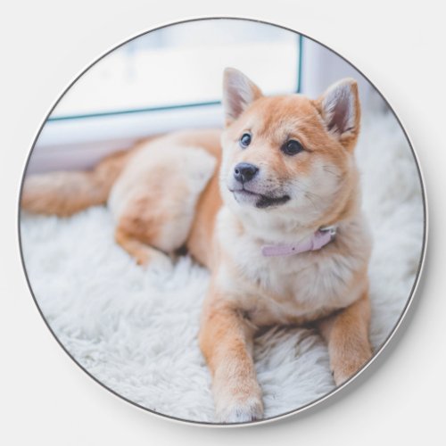 Add Your Photo  Custom Pet Photo Wireless Charger