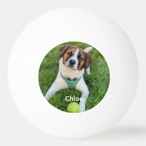Add Your Photo Dog Photo Kids Photo Family Photo  Ping Pong Ball