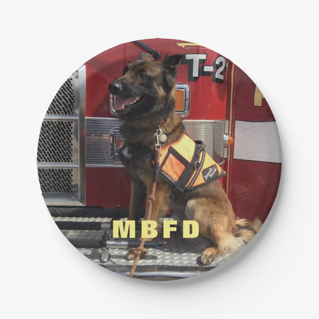Add Your Photo Fireman's Celebration Paper Plates (Front)