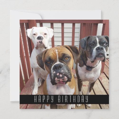 Add Your Photo  Happy Birthday From Dogs Announcement