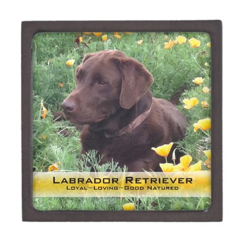 Add Your Photo Lab California Poppy Patch Template Jewelry Box