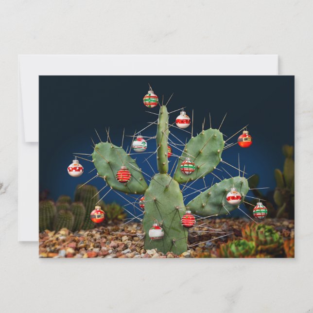 Add your photo on back, Christmas Prickly Pear Holiday Card (Front)