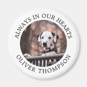 Add Your Photo - Pet Memorial Magnet