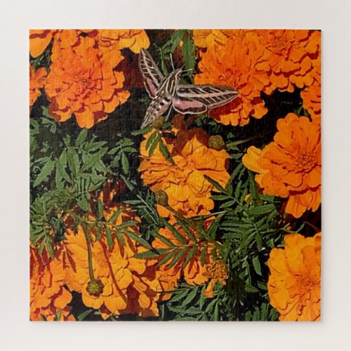 Add Your Photo Sphinx Moth On Orange Marigolds Jigsaw Puzzle