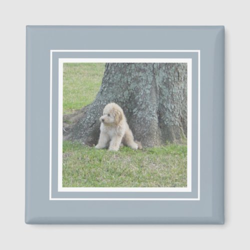 Add Your Photo to Modern Farmhouse Blue  White Magnet