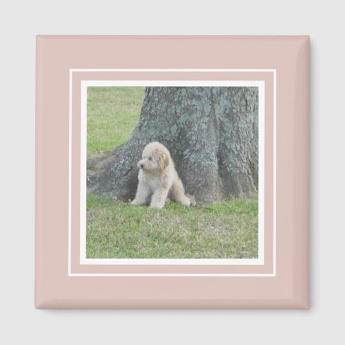 Add Your Photo to Modern Farmhouse Pink  White Magnet