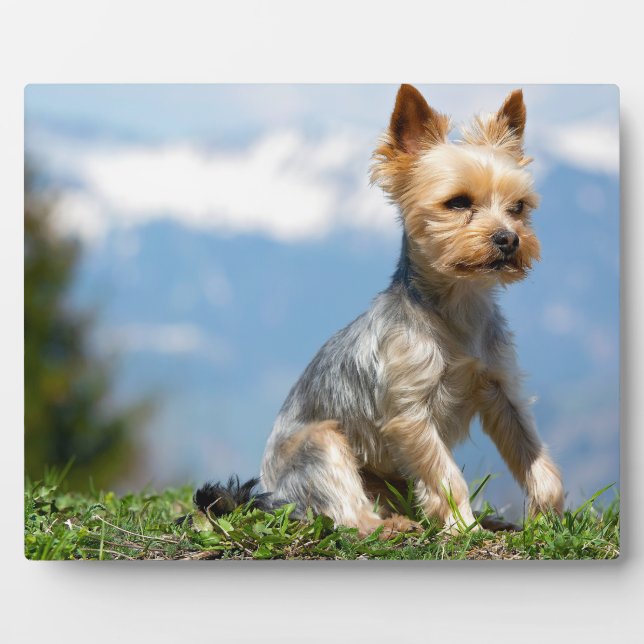 Add YOUR Picture Plaques with Easel to Stand Alone (Front)