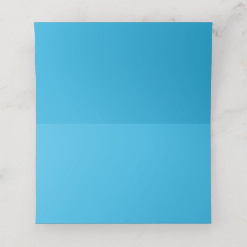 Add Your Text Baby Blue Gingham Pattern Place Card Zazzle