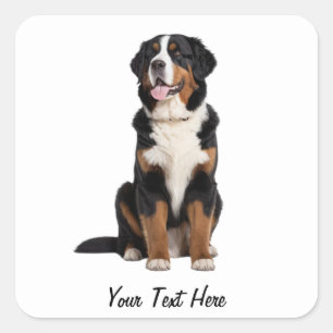Add Your Text Custom Bernese Mountain Dog Square Sticker