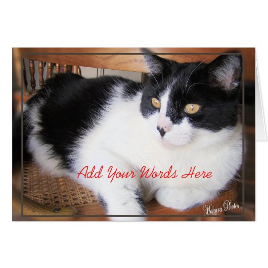 Add Your Words-front and inside Cards (Front Horizontal)