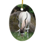Addax Ornament