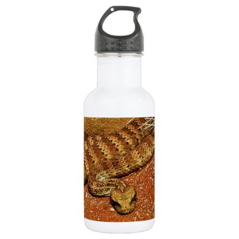 Adder Stainless Steel Water Bottle by thecoveredbridge at Zazzle