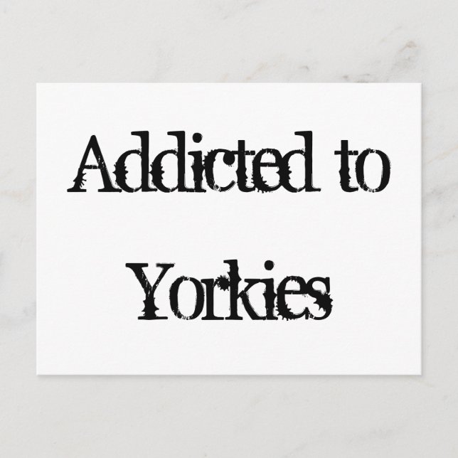 Addicted to Yorkies Postcard (Front)