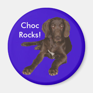 Addiction/Paws Off Magnet
