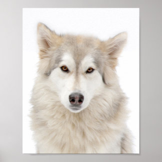 Addie of A Street Poster