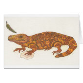 Addison the Lizard (Front Horizontal)