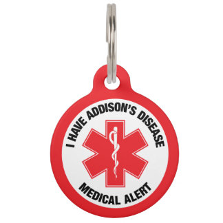 Addison's Disease Medical Alert Pet Tag
