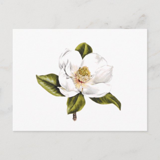 Address Change Postcards - set of 25 (Front)